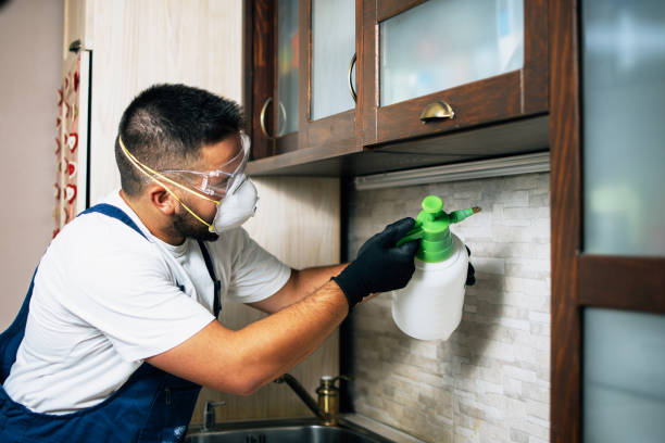 Reliable Linden, NJ Pest Control Solutions