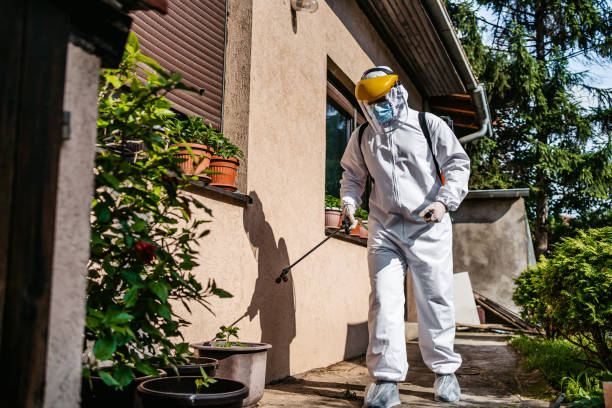 Best Insect Control  in Linden, NJ