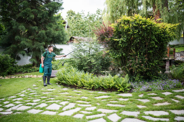 Best Affordable Pest Control Services  in Linden, NJ