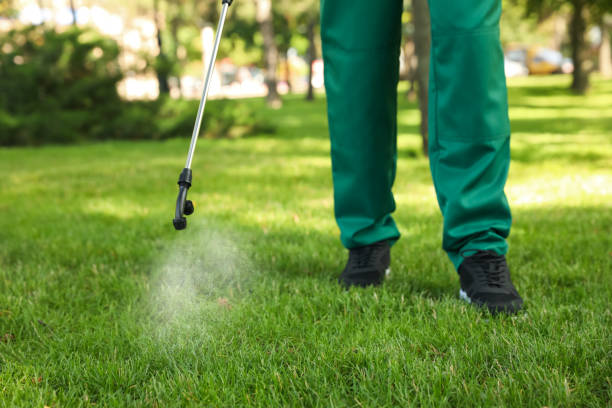 Best Wasp Removal Services  in Linden, NJ