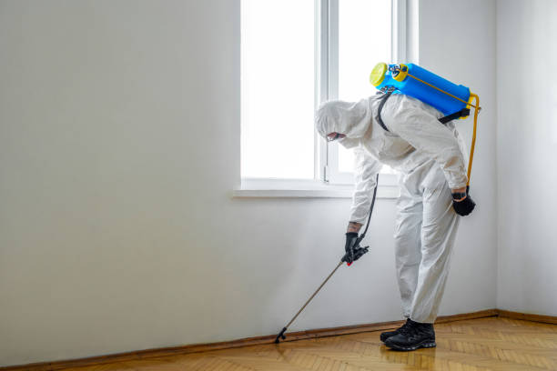 Reliable Linden, NJ Pest Control Solutions