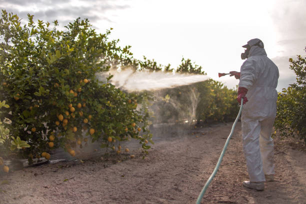 Best Pest Control Cost  in Linden, NJ