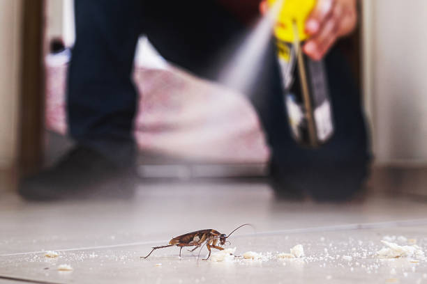 Best Rat Extermination Near Me  in Linden, NJ