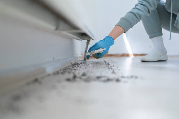 Best Best Pest Control Companies  in Linden, NJ